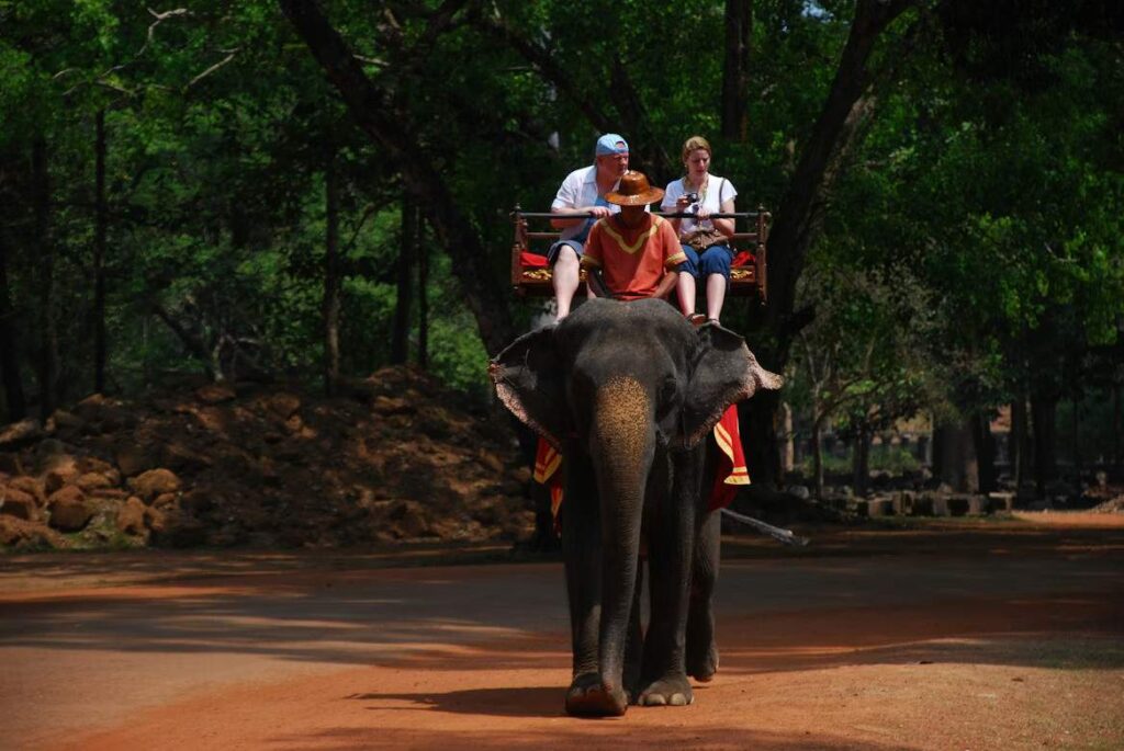 Tourism in India: A Complete Guide to Its Importance, Challenges, Types, Tourist Places, and the Incredible India Campaign Tourism in India: A Complete Guide to Its Importance, Challenges, Types, Tourist Places, and the Incredible India Campaign